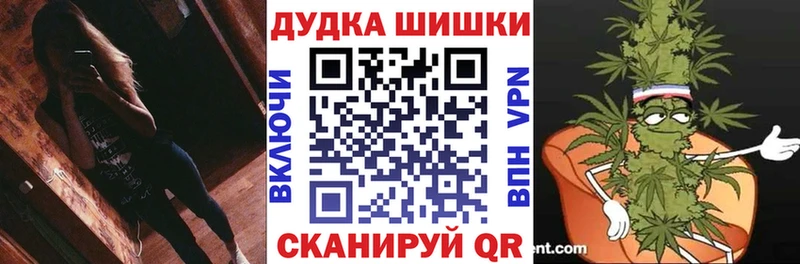 Конопля сатива  Пионерский 